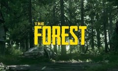 森林修改器最新版 森林风灵月影中文版下载