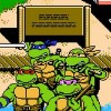 忍者神龟3