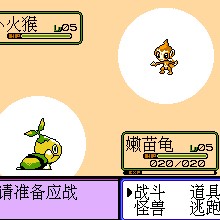 口袋怪兽 - 白金版