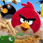 愤怒的小鸟巨形HD版