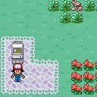 口袋妖怪Flash版